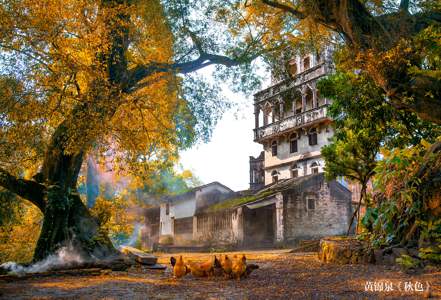 4、黃錦泉-秋色(三等獎(jiǎng))0.jpg