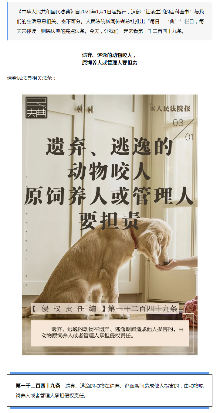 每日一“典”丨遺棄、逃逸的動(dòng)物咬人，責(zé)任誰(shuí)承擔(dān)？.png