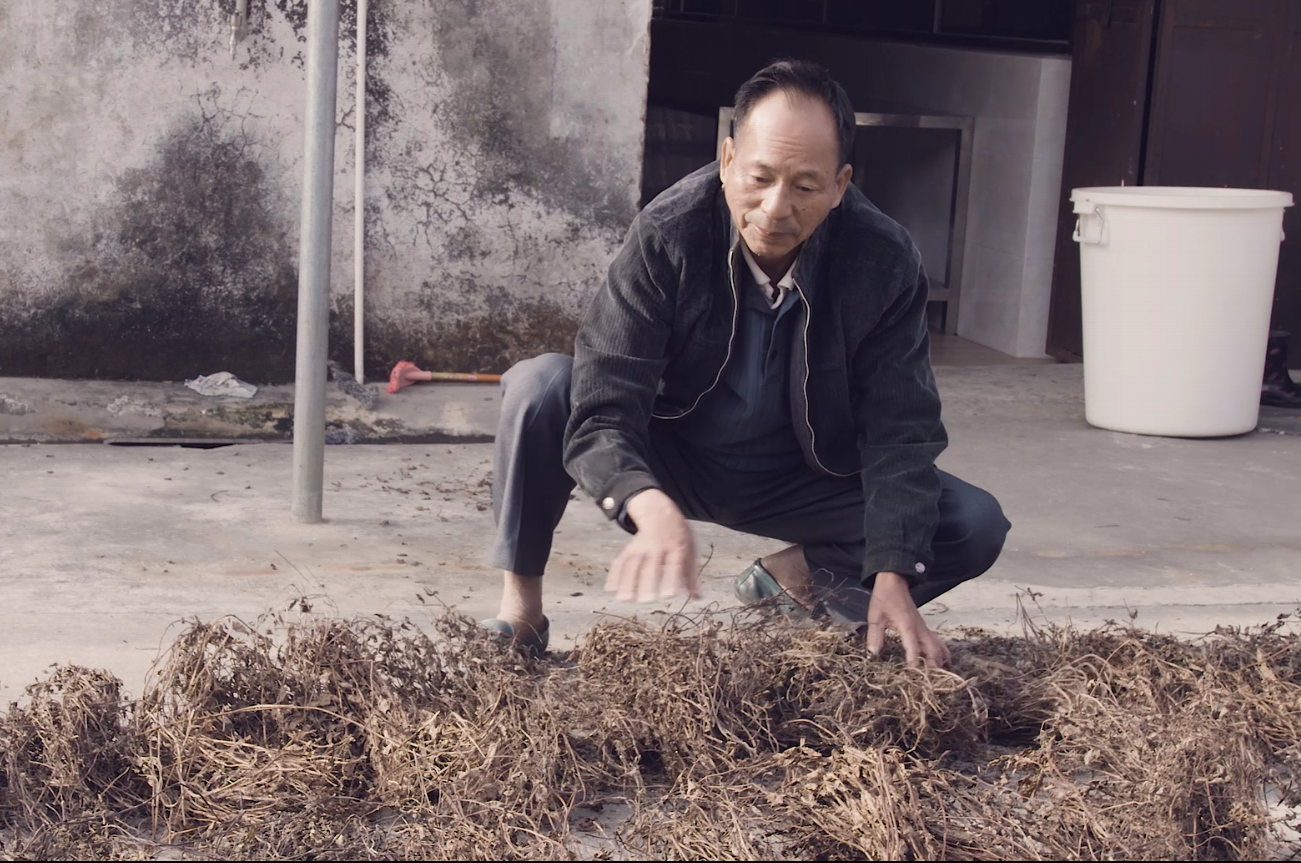 馬岡涼粉 (4).png
