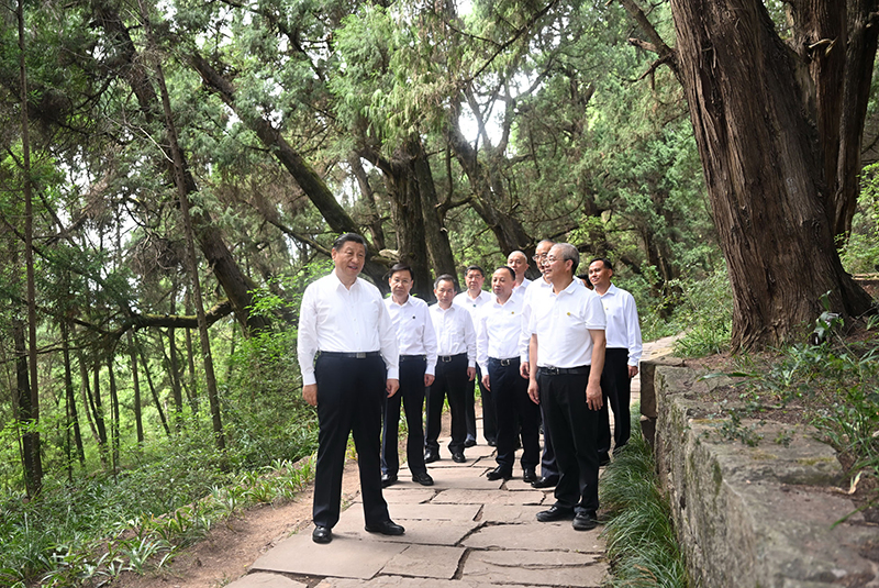 7月25日至27日，中共中央總書記、國家主席、中央軍委主席習(xí)近平在四川考察。這是25日下午，習(xí)近平在廣元市劍閣縣翠云廊考察。