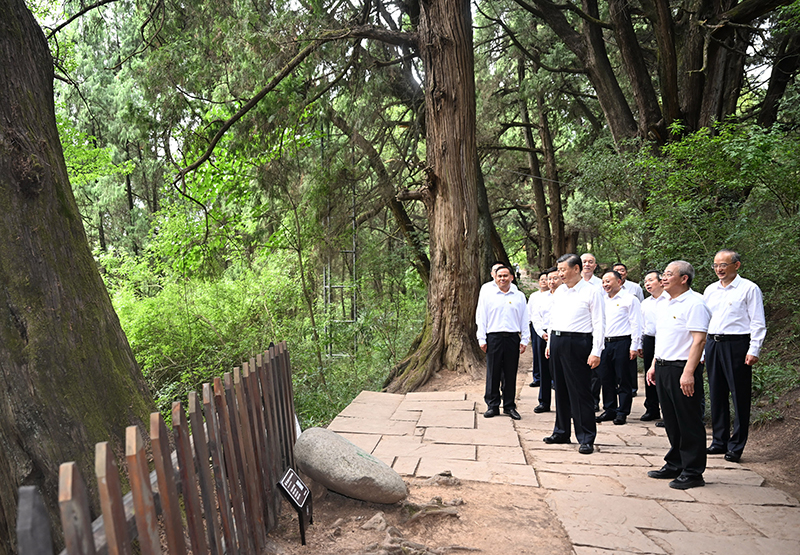 7月25日至27日，中共中央總書記、國家主席、中央軍委主席習(xí)近平在四川考察。這是25日下午，習(xí)近平在廣元市劍閣縣翠云廊考察。
