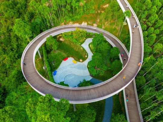 珠海紅花山森林公園。圖源：南方+ 