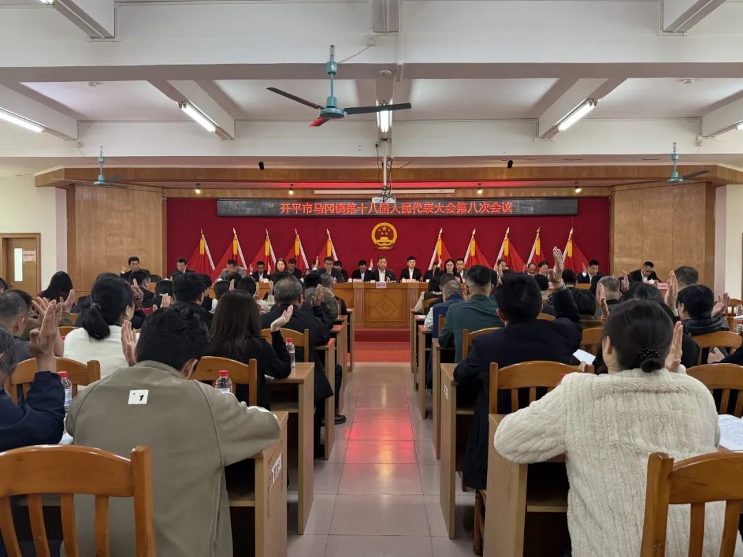 接續(xù)奮進(jìn)新征程 篤行不怠譜新篇——馬岡鎮(zhèn)第十八屆人民代表大會(huì)第八次會(huì)議勝利召開(kāi) border=